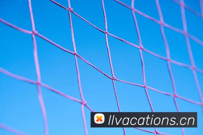 五大最全足球直播app对比：功能与赛事覆盖全解析